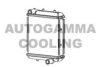 AUTOGAMMA 105747 Radiator, engine cooling